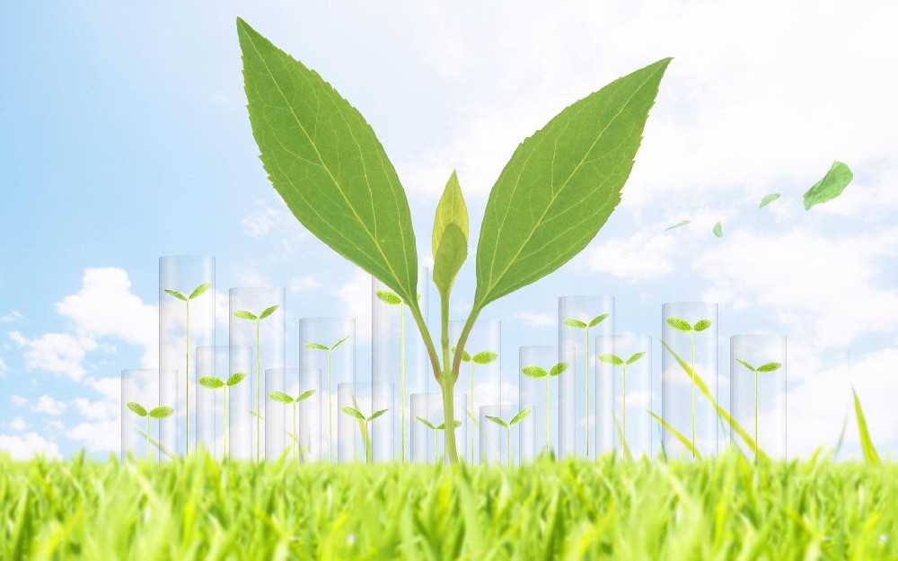 生物质发电厂如何除尘？